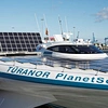 Panneau solaire de 110 watts